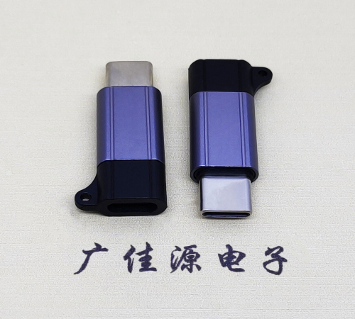 静海Type-C母转Type-C公 USB3.1 PD100W快冲接口